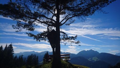 Achentalalm Kragenjoch Rechte Wildschönau Tourismu