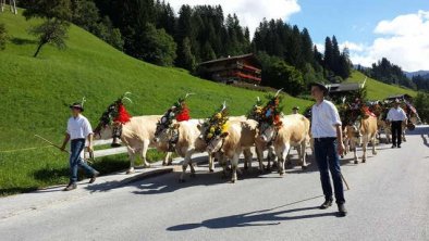 Almabtrieb, © Ewerk Alpbach