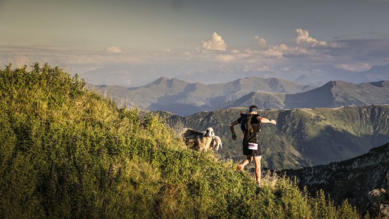 Ultra Trail in the Kitzbühel Alps, © TVB Pillerseetal/Andi Frank