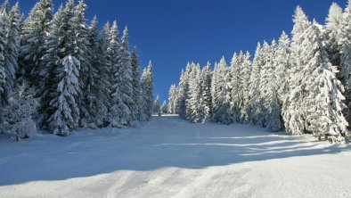 Traumhafte Pisten