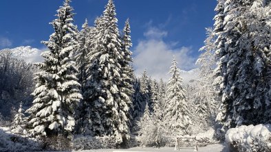 Beim Talschuster Winter