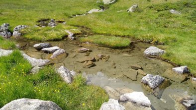 Ausflugziel Obersee Stallersattel