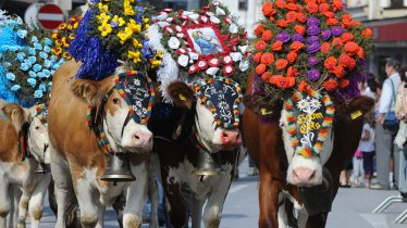 The safe homecoming of the cows is celebrated with a folk music festival at the upper town square of Kufstein, © Ferienland Kufstein