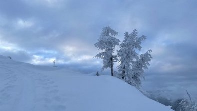 Winterbilder 3