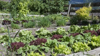 _DSC7963 Bauerngarten