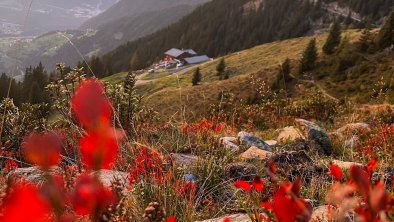 Abendrot, © Acherberg Alm