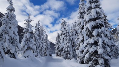 Winterwanderweg