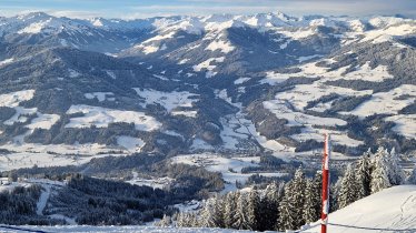 Hohe Salve mit Blick auf Hopfgarten, Bergrose