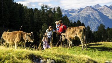 Kühe, Bauernhof, © © Ötztal Tourismus