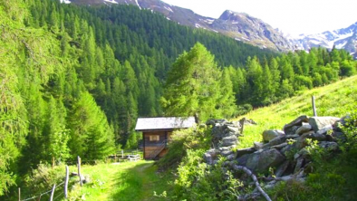 Zur Almhütte Santnerhof