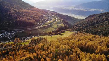 Lärchenwald, © Region Seefeld, Martin Ritzer