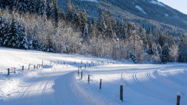 Winter hike Kelchsau - Kurzer Grund, © Kitzbüheler Alpen - Hohe Salve