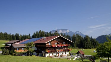 https://images.seekda.net/AT_UAB7-04-06-08/Sommer-Kopf.jpg