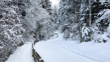 Rodelbahn zu Fuß von unserer Unterkunft erreichbar, © Jessica Herrmann