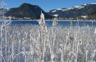 Winter am See