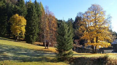 Im Herbst