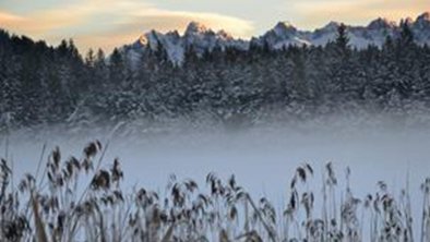 Nebel über dem Wildsee