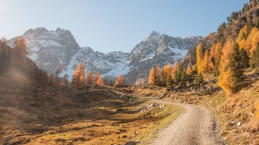 Landscape near the Tiefental-Alm, © Jannis Braun