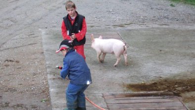 schweinchen-mooserhof, © Steinkasserer