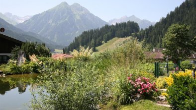 Ausblick Berg und Teich