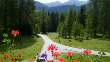 Haus_Waldbauern_Blick_Obernberg_Wipptal