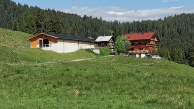 Hohlriederalm