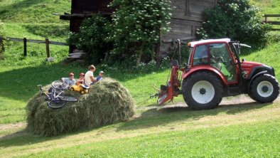 mooserhof-kinder-heuarbeit, © Steinkasserer