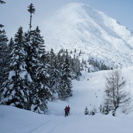 Ski touring in Tirol, © Tirol Werbung/Martina Wiedenhofer