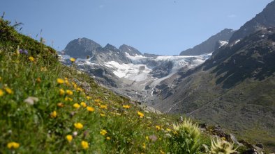 urspr-ngliche-naturlandschaft-entlang-des-aufstieg