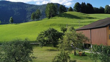 Landidyll am Thiersee - Ausblick