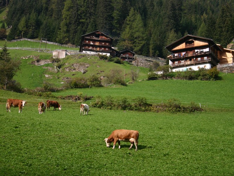 Summer holidays in the Hochpustertal valley, © Osttirol Tourismus