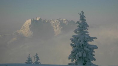 Steinplatte Richtung Wilder Kaiser