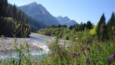 Lech bei Elbigenalp