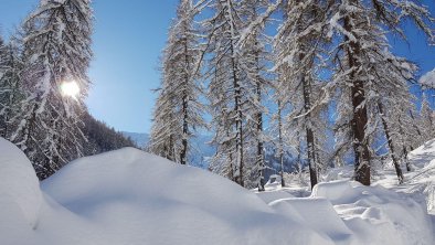 Kalkstein Villgratetal Winterstimmung