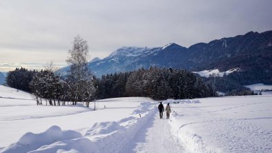 Romantic winter walk