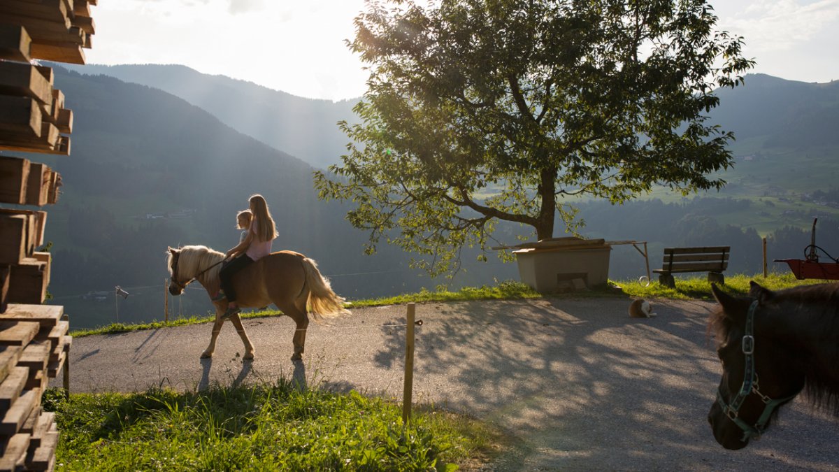 The farm has several horses which guests can ride &ndash; simply ask., © Tirol Werbung/Lisa Hörterer