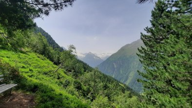 zwischen Nockalm und Bacherwandalm