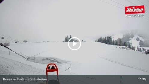 Webcam Brantlalmsee