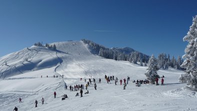 Skijuwel Wildschönau