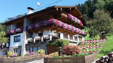 Viele bunte Blumen schmücken das Haus