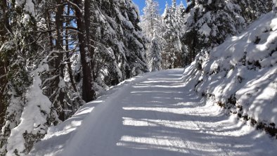 Winterwanderweg