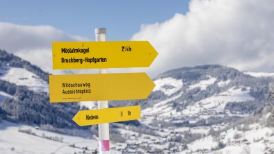 Wildschönau Blick auf Oberau Winter tief verschne