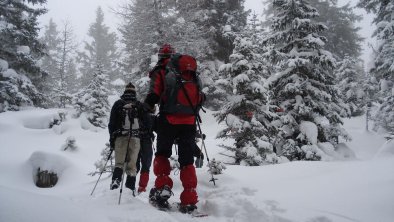 Landhaus_Mair_Waldrast_Schneeschuhwandern