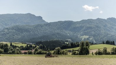 Naturnah - Den Sommer im Riedl erleben, © (c) FlorianEgger