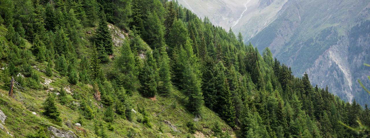 Leiterberg Trail in Sölden, © Tirol Werbung/Peter Neusser