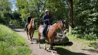 Horse Riding activity