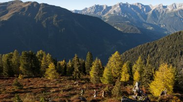 Autumn scenery along the route, © TVB Paznaun-Ischgl