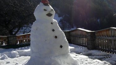 Schneemann-Alber Edmund