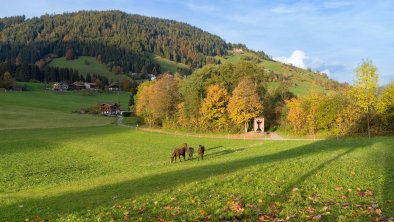 Herbstimpressionen_TVB_Wildschoenau_Dabernig_10_20