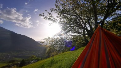 Ausblick von Hängematte im Garten